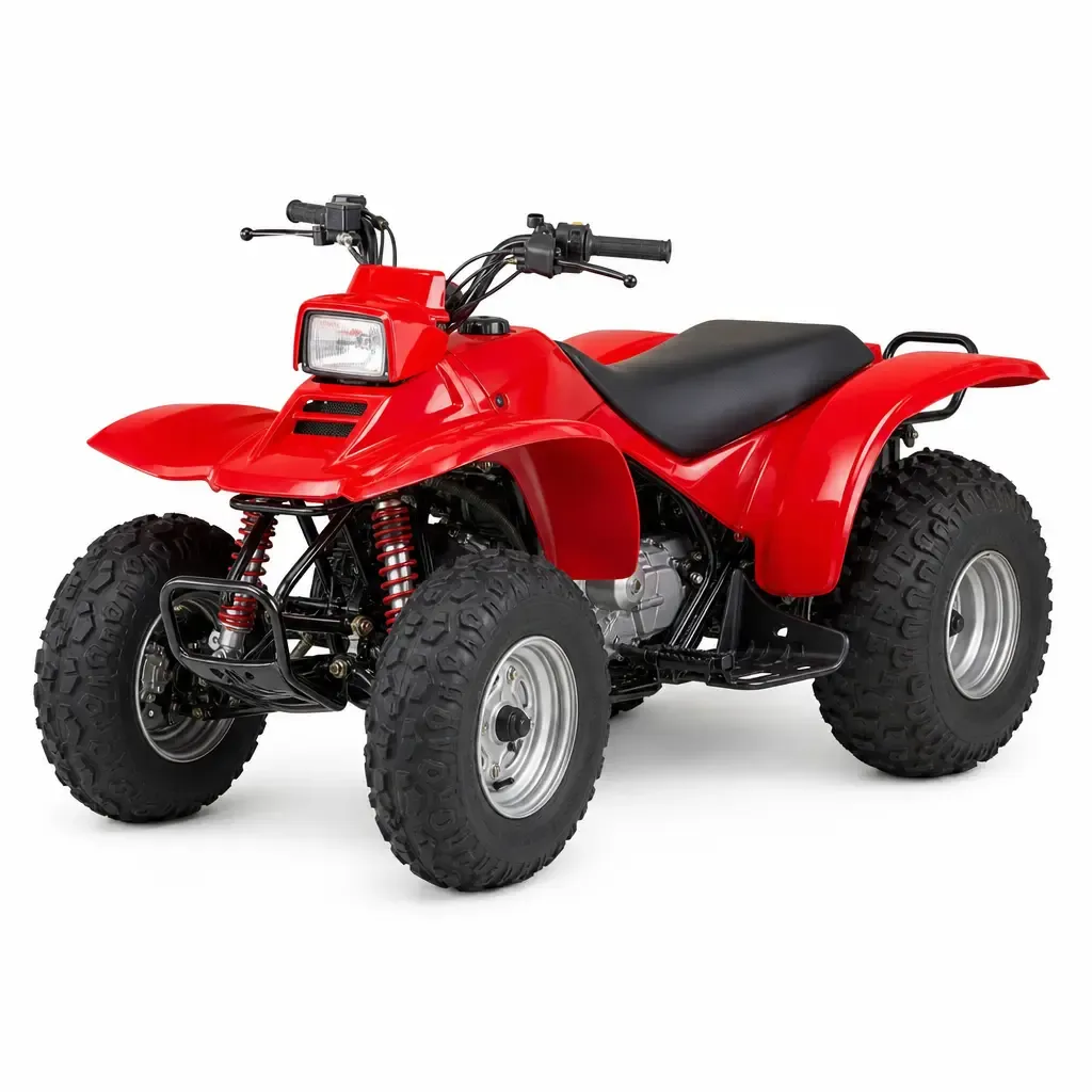 1993 Honda TRX300FW -