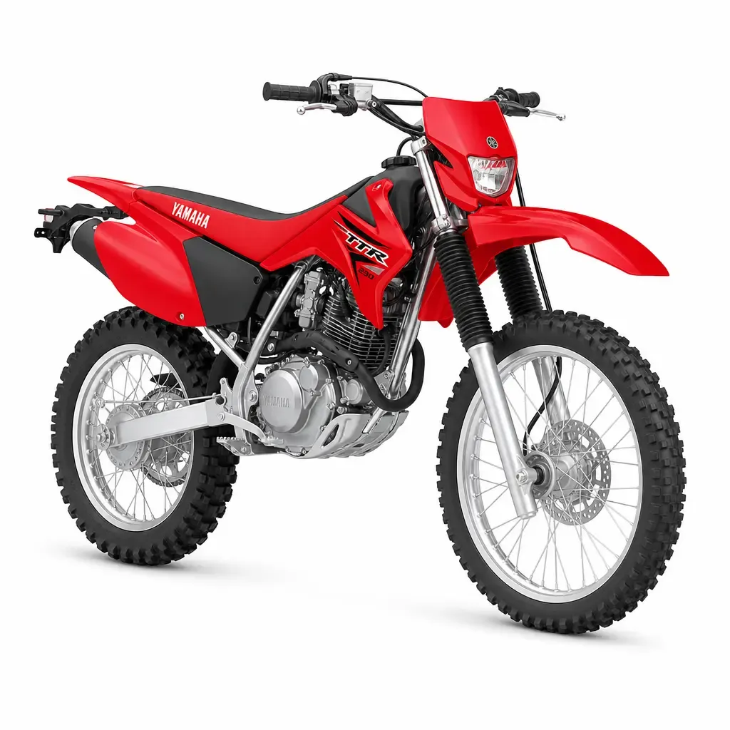 2023 Yamaha TT-R230 -
